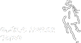 Logo: Dark Horse